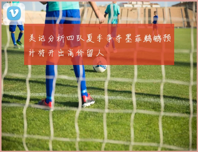 美记分析四队夏季争夺墨菲鹈鹕预计将开出高价留人